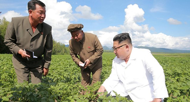 Kuzey Kore lideri Kim, ABD Dışişleri Bakanı Pompeo ile 'patates' yüzünden mi görüşmedi?