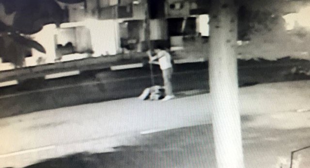 Bayrağı direğiyle birlikte çaldı