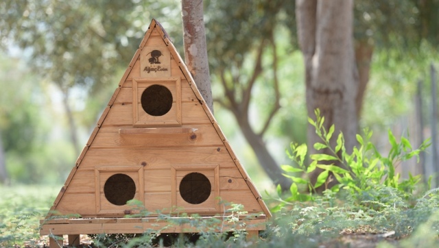 LTB şehrin farklı noktalarına kedi evleri yerleştiriyor