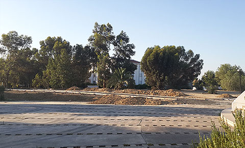 Güzelim parka kıymayın!