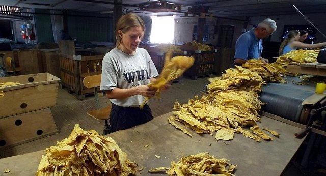 Tütün ürünlerinde vergi artırılacak