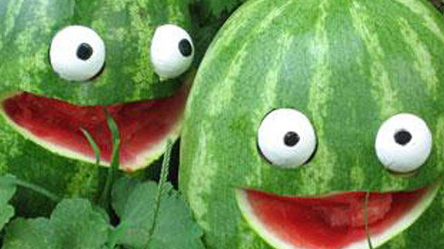 5. Doğancı Karpuz Festivali ile piknik alanının açılışı yarın akşam