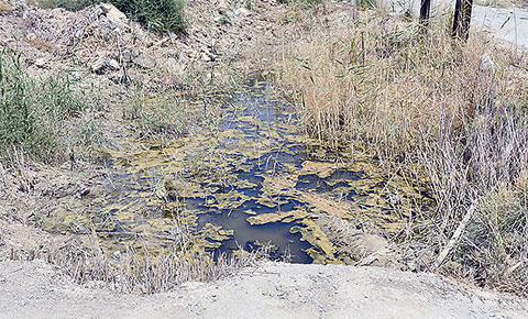 “Kokudan nefes alamıyoruz”