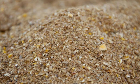 Tepebaşı’nda yem hırsızlığı