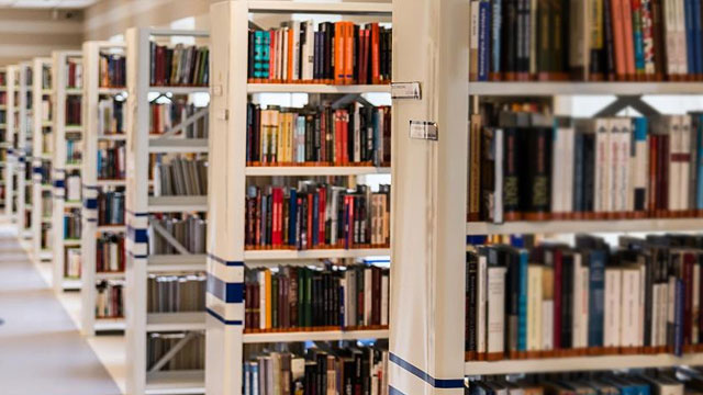 ABD'de bir kütüphaneyi yılanlar bastı