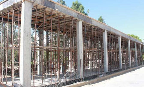 Bizim de insanca yaşama hakkımız vardır