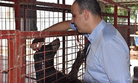 Harmancı: "Evlerimize can alırken barınağımıza uğrayın"