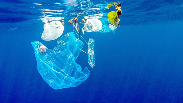 İşletmelerden tam destek var