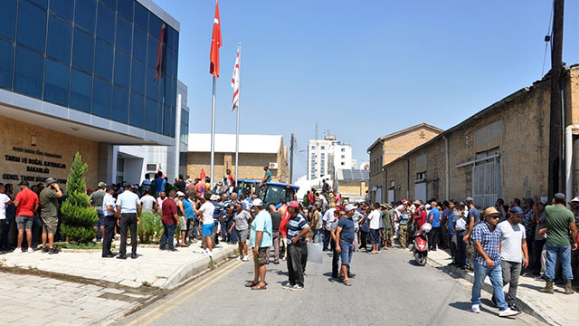 Hayvan Üreticileri ve Yetiştiricileri Birliği’nin eylemi devam ediyor...