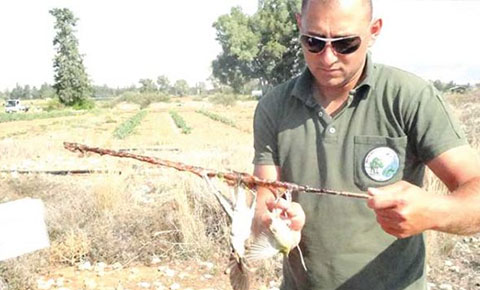 Mikşa ile kuş katliamı