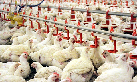 KTSO: “İthalatla ucuzluk geleceği yaklaşımı yanlıştır”