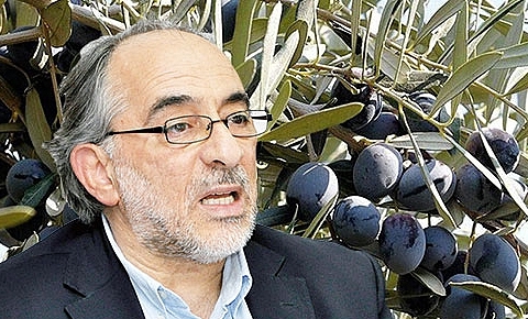 Zeytinin anavatanıyız ama ihracat sıfır!