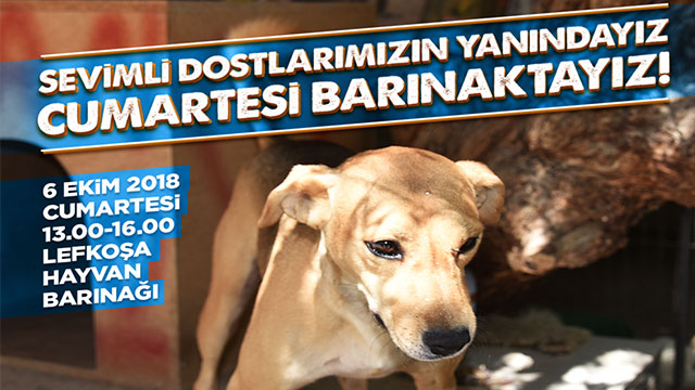 LTB, Lefkoşa Hayvan Barınağı’nda etkinlik düzenliyor