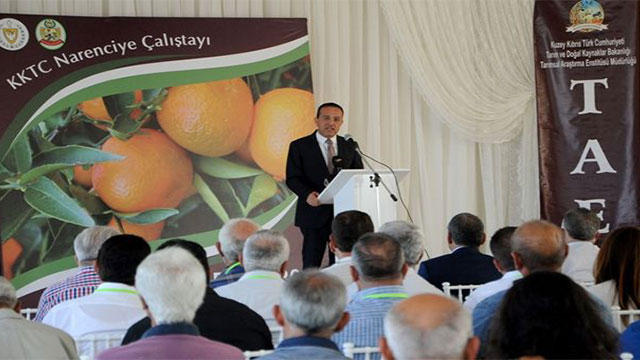 Narenciye çalıştayı sona erdi... En büyük sorun sulama suyu yetersizliği