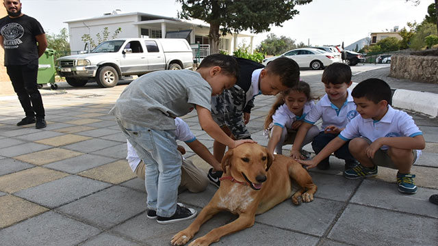 Beylerbeyi Anaokulu’nda hayvan sevgisi farkındalık etkinliği