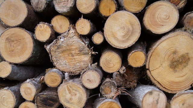 Ormancılar Derneği: “Odun satışları denetlenmeli”