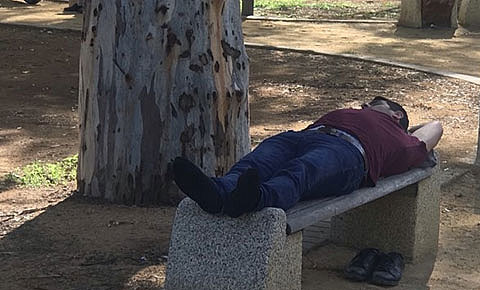 Yatak ve hava bedava!