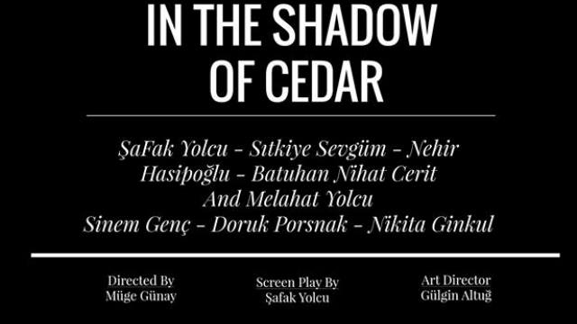 “Sedirin Gölgesinde”, Bushman Film Festivali’nde yarı finalist...