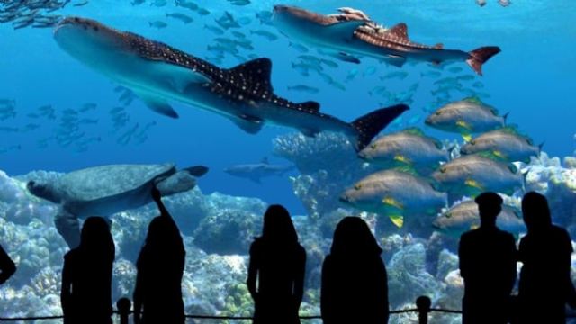 Avrupa'nın en büyük tatlı su akvaryumu açıldı