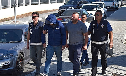 Zeytin ağacı kestiler, tutuklandılar