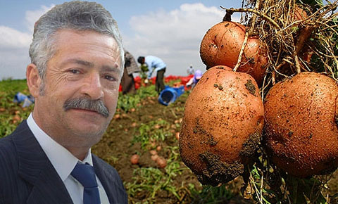 Patateste rant kavgası!