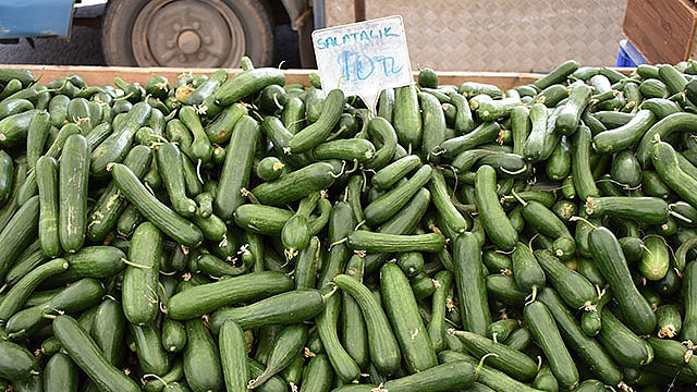 1 kilo salatalık 10 TL