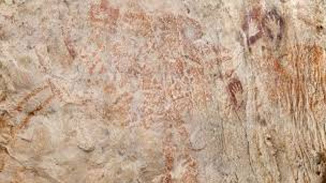 Endonezya'daki mağarada dünyanın en eski hayvan resmi bulundu