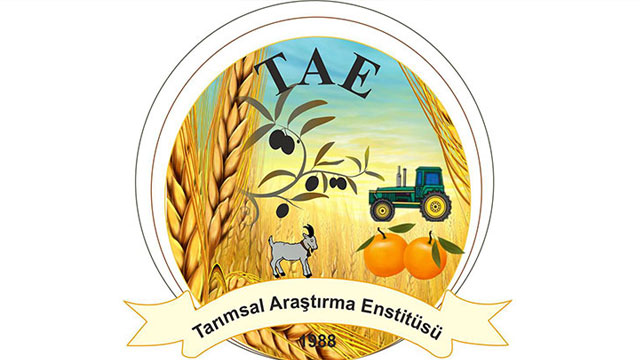 Meyve ağaçlarında uygulamalı budama ve aşılama tekniklerinin eğitimi verilecek