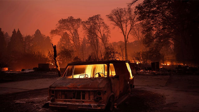 California'daki orman yangınında hayatını kaybedenlerin sayısı 79'a yükseldi