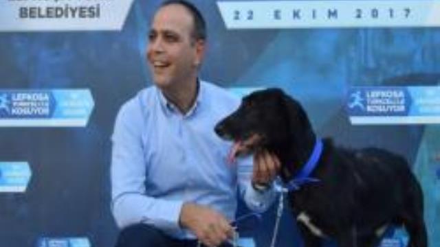 Yaralı halde bulunan ve Harmancı’nın sahiplendiği köpek için yuva da yaptırıldı