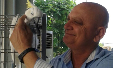 Mutluyaka’ya ateş düştü