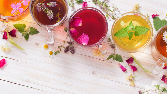 Strese iyi gelen bitkiler