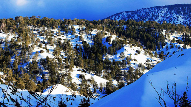 Bu gece kar yağışı bekleniyor