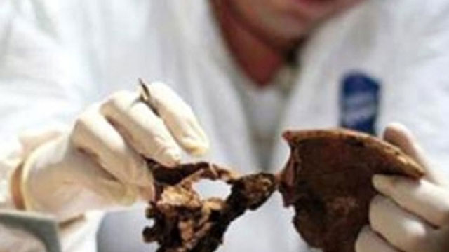 Kayıp Şahırlar Komitesi’ne İrlanda’dan 25 bin Euro bağış