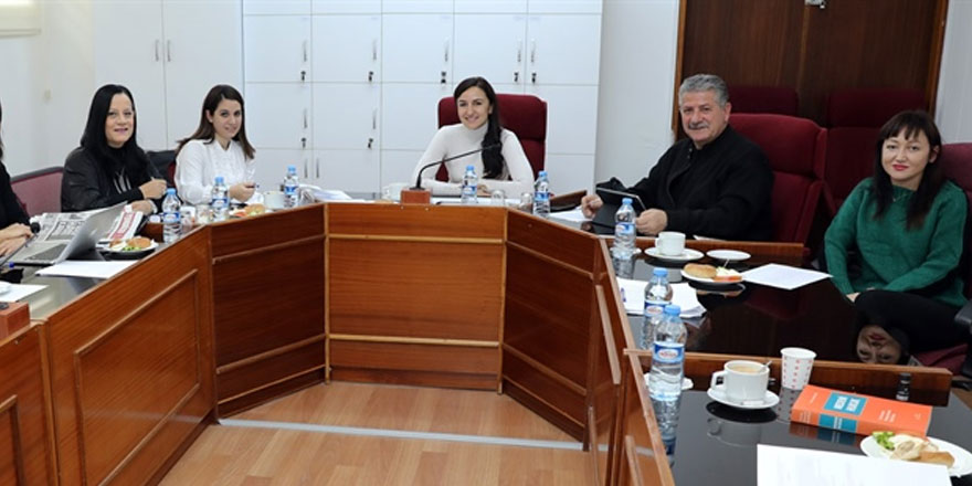 Meclis Kamu İşleri Komitesi, üst kademe yönetici atanması ile ilgili yasa tasarısını görüştü