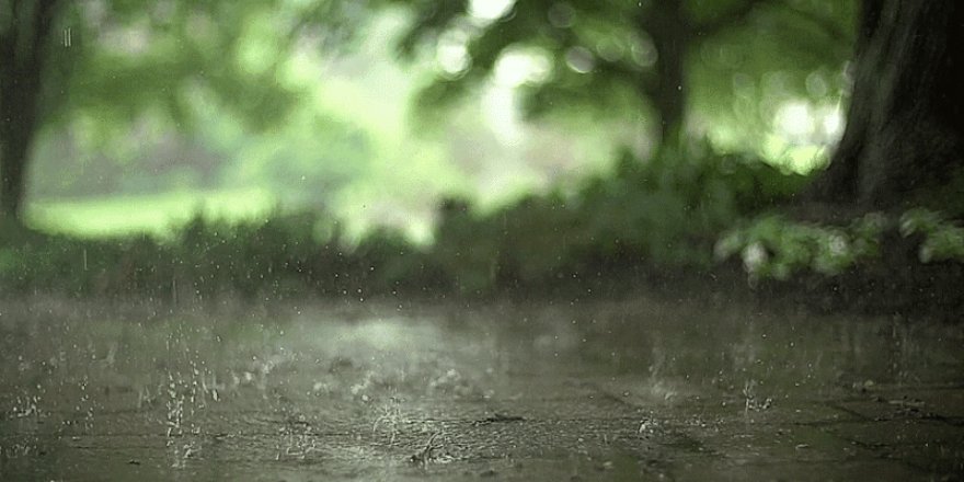 Hafta sonu hava yağmurlu olacak