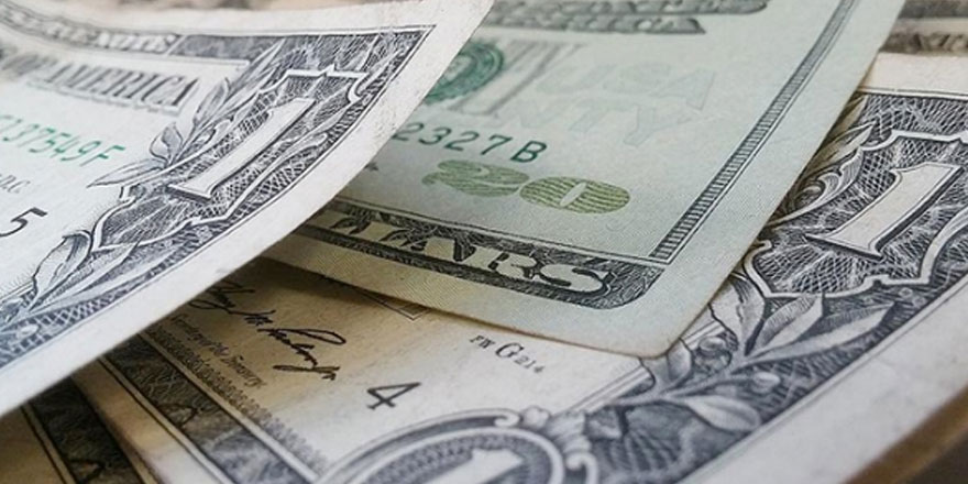 Türkiye’de geçen yıl en çok dolar kazandırdı