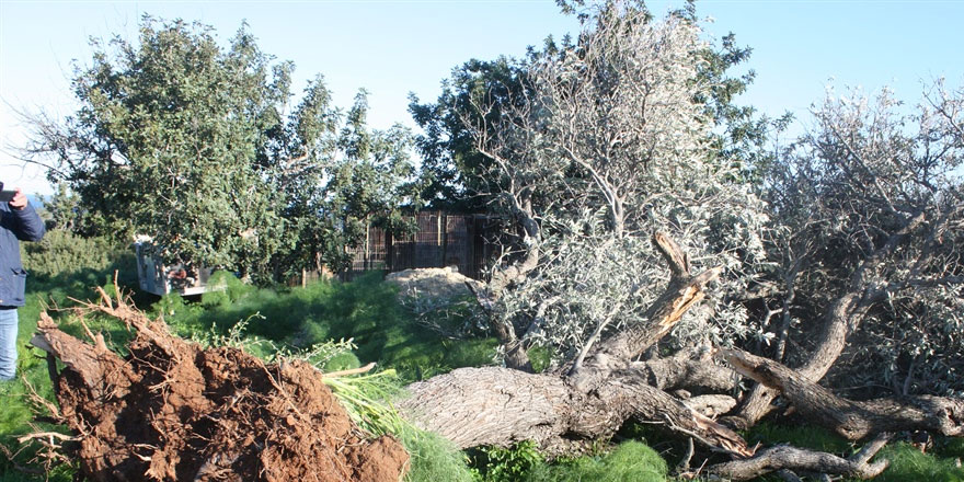 Yenierenköy’de meydana gelen hortum ciddi hasara yol açtı