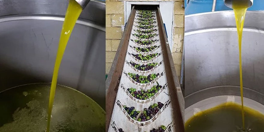 Zeytinyağında kavga büyüyor!