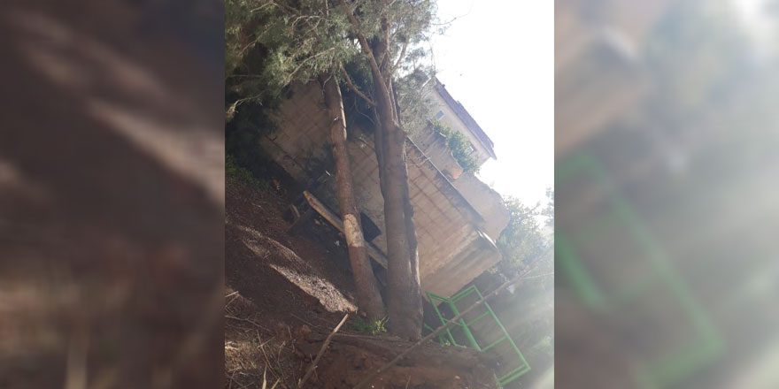 Yağmur ve şiddetli fırtına ağaç devirdi