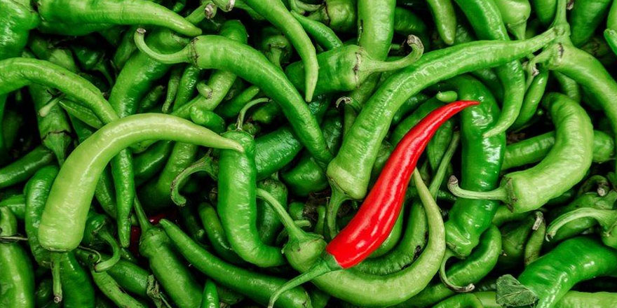 Biberin kilosu 22 TL