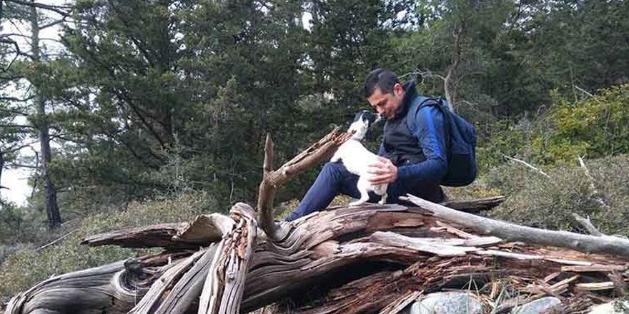 Maylo doğa yürüyüşü sırasında zehirlendi