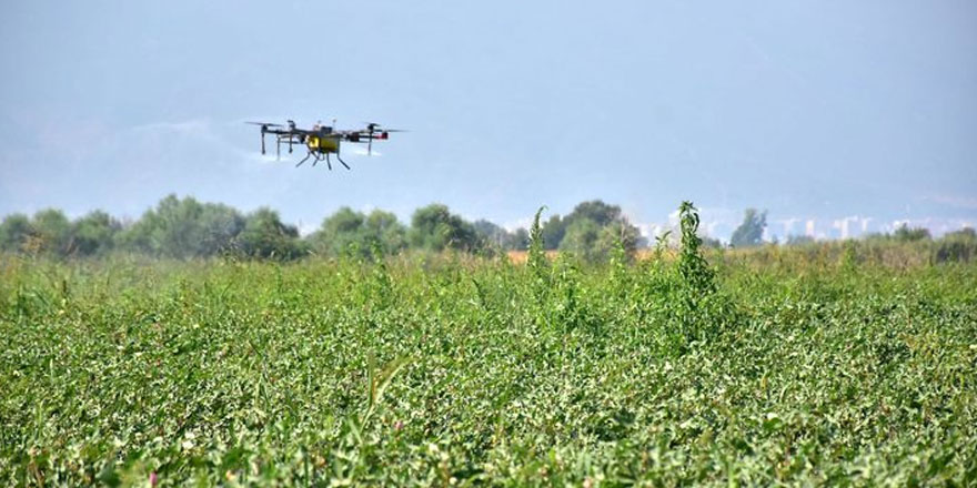 Tarım Bakanlığı : “Ot toplanmamalı ve tüketilmemeli”