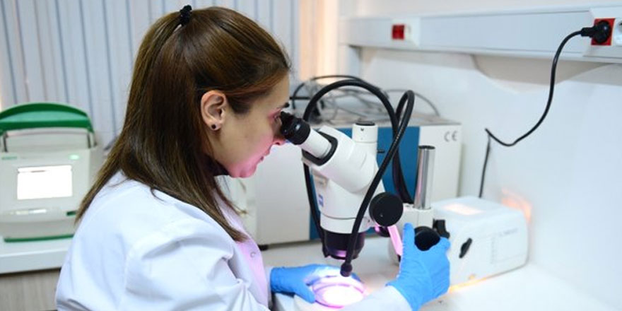 Kireçlenme hastalığına karşı hidrojen sülfür etkisi araştırıldı