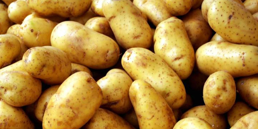 İlkbahar patates satışları yarından itibaren başlıyor