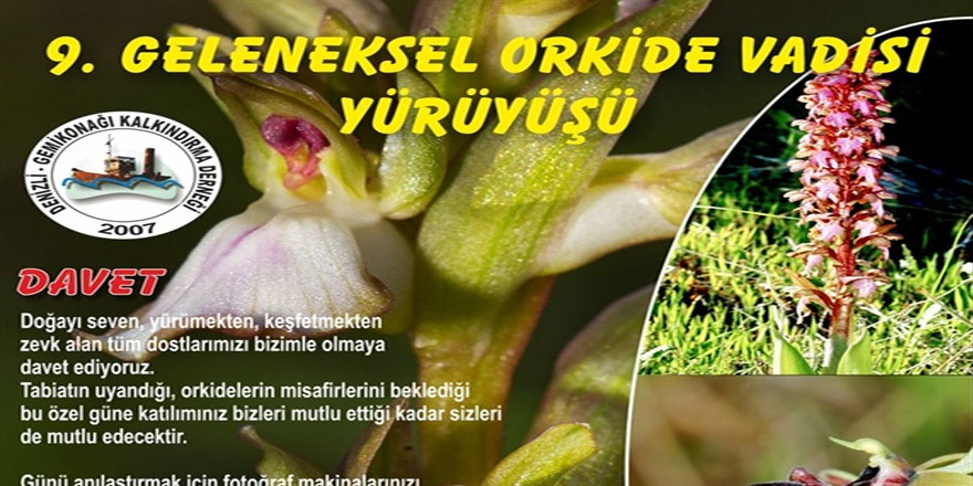 Orkide Vadisi Orkide Gözlem Yürüyüşü 3 Mart’ta