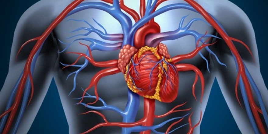 ABD'de yetişkinlerin yarısı kalp ve damar hastası