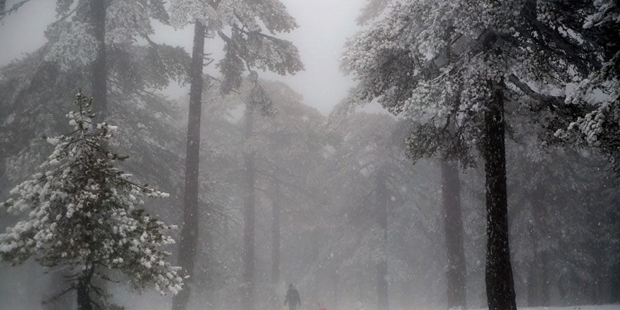 Trodos'ta sis yüzünden görüş mesafesi sınırlı