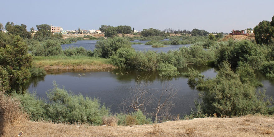 Yağışlar ülkeye bereket getirdi