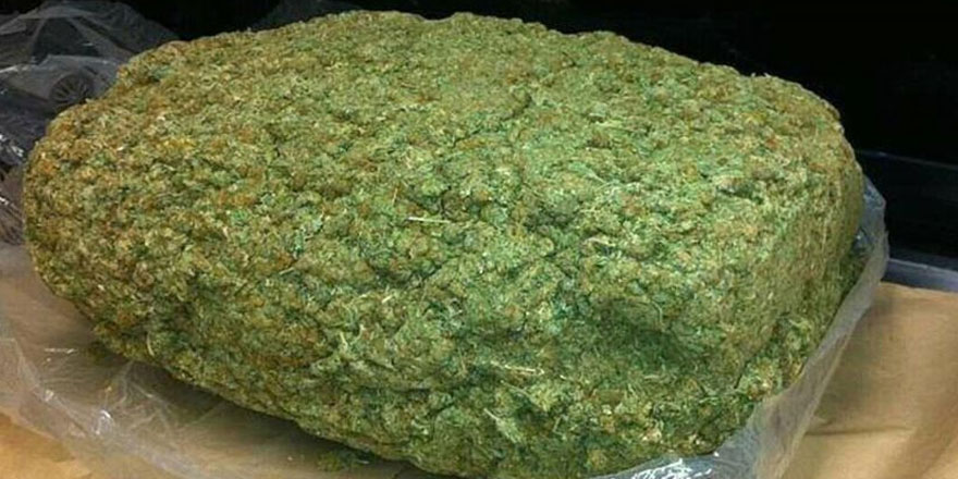 Binlerce genç zehirlenecekti